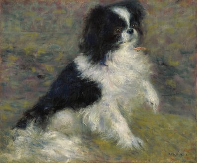 Tama, the Japanese Dog by Pierre Auguste Renoir