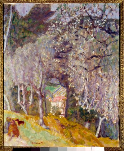 House in the Olives by Pierre Bonnard