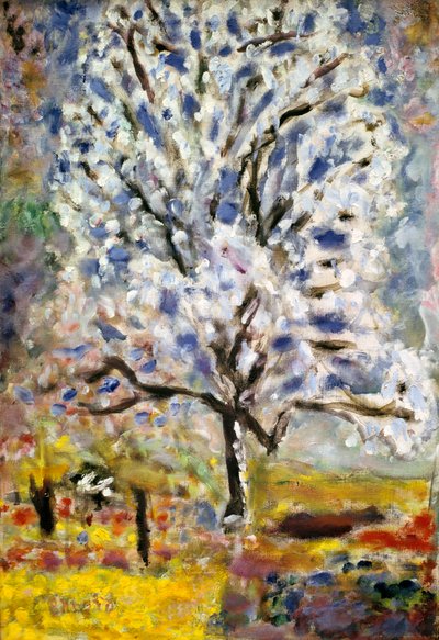 The Almond Tree in Blossom by Pierre Bonnard