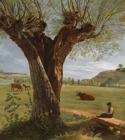 Pollard Willow by Pierre Jean Boquet