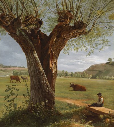 Pollard Willow, after 1804 by Pierre Jean Boquet