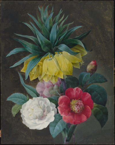 Four Peonies and a Crown Imperial by Pierre Joseph Redouté