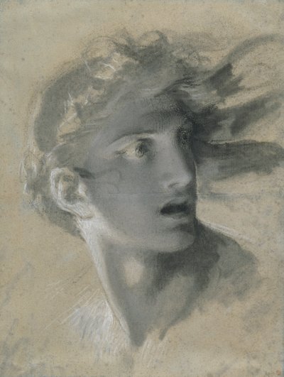Head of Vengeance by Pierre Paul Prud