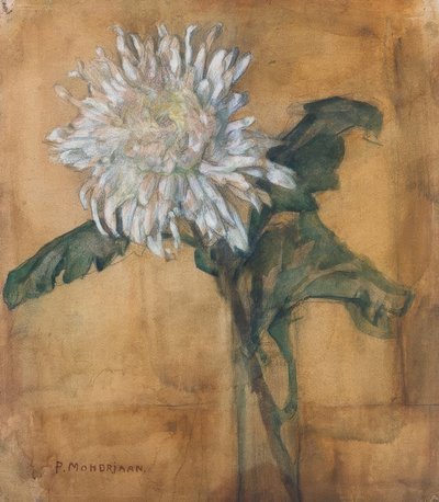 Chrysanthemum by Piet Mondrian