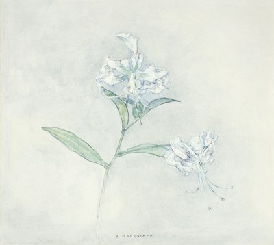 Two Japanese Lilys by Piet Mondrian