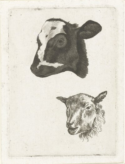 Head of a Black-Spotted Calf and Sheep by Pieter Barbiers (IV)