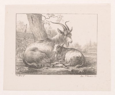 Goat and Sheep in Landscape by Pieter Bartholomeusz. Barbiers