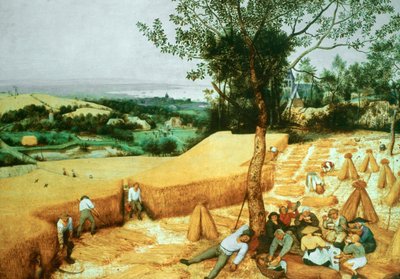 The Harvesters by Pieter Bruegel the Elder
