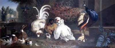A Peacock, Chickens, Ducks and a Kingfisher by Pieter Casteels