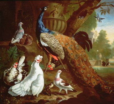 A Peacock in a Classical Landscape, 1719 by Pieter Casteels