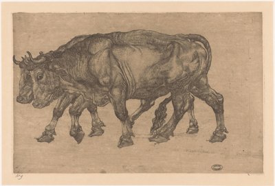 Two Oxen by Pieter Dupont