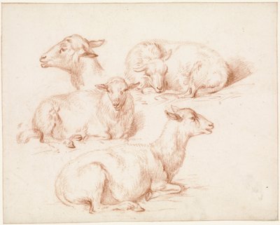 Study Sheet with Sheep by Pieter Jan Guise