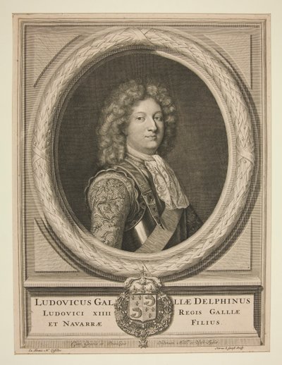 Louis XV by Pieter Stevens van Gunst