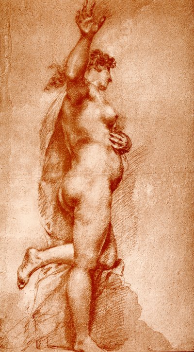 Female Nude by Pietro Liberi