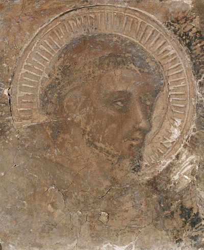 Head Of A Franciscan, 1319-47 by Pietro Lorenzetti