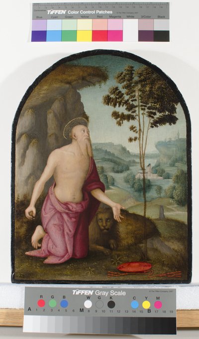 Saint Jerome in the Wilderness by Pietro Perugino