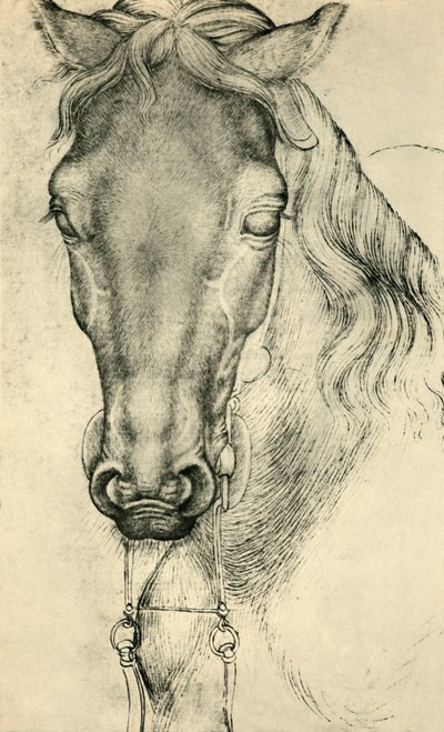 Head of a Horse, c1420-1455, 1943 by Antonio Pisanello