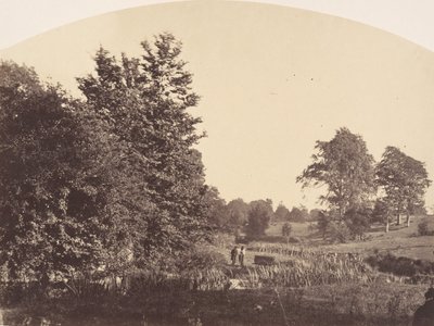 The Woodland Stream by Plunket