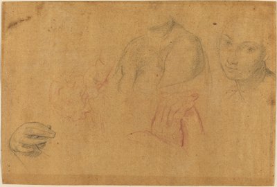Sketches of Heads and Hands by Pompeo Batoni