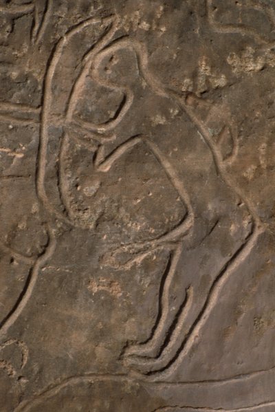 Human Figure and Bull