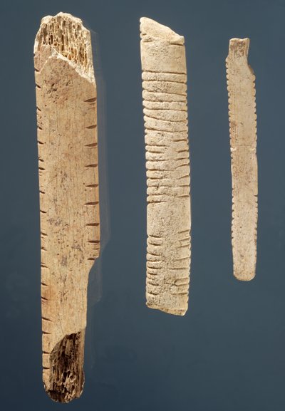 Three Decorated Bones by Prehistoric