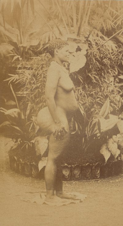 South African Woman, Nude by Prince Roland Napoleon Bonaparte