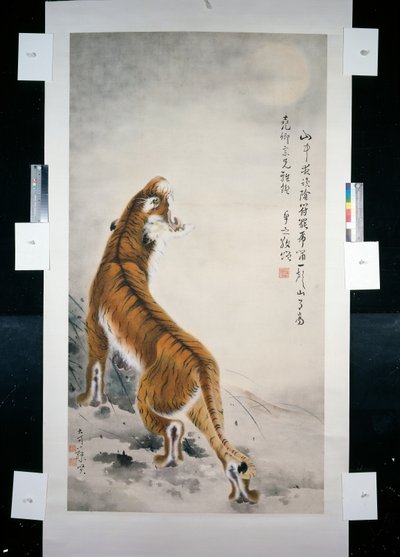 Tiger by Qifeng Gao