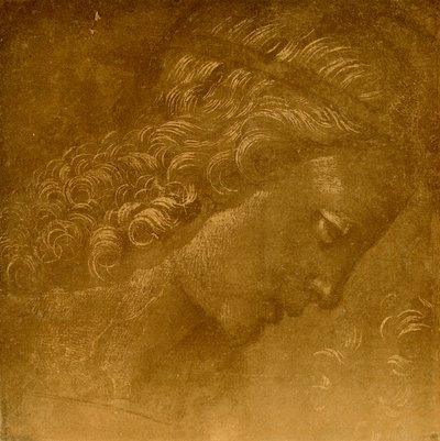 Study on an Angel Head by Raffaellino del Garbo