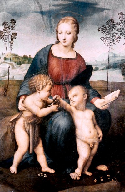 Madonna del Cardellino, 1507 by Raffaello Sanzio Raphael