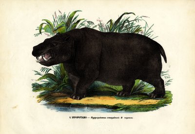 Hippo, 1863-79 by Raimundo Petraroja