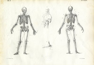 Human Being by Raimundo Petraroja