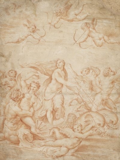 The Triumph of Galatea by after Raphael