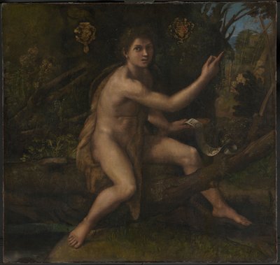 Saint John the Baptist by Raphael (1483 1520)