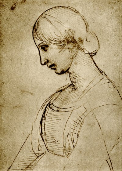 Study on a Madonna by Raffaello Sanzio Raphael