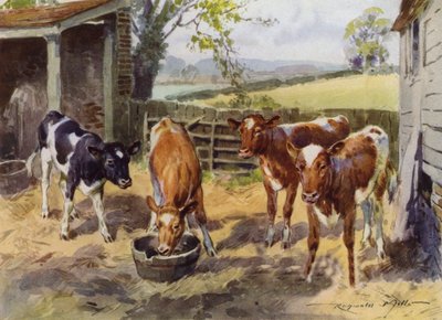 Illustration for My Farm by Reginald Mills