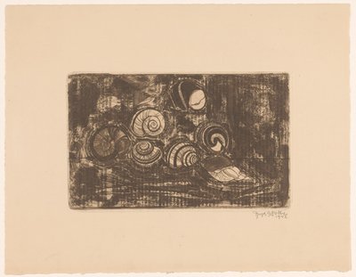 Seven Shells by Reijer Stolk (signed by artist)