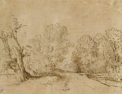 A Wooded Road by Rembrandt van Rijn