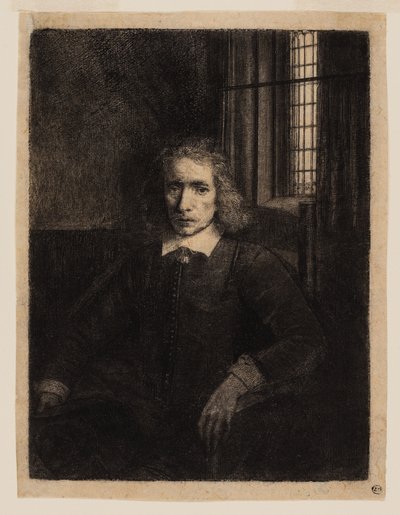 Pieter Haaringh (Young Haaringh) by Rembrandt van Rijn