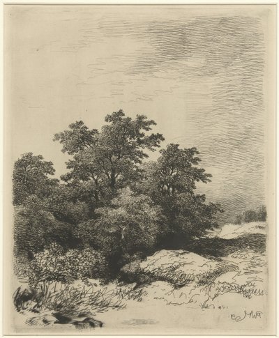 Landscape with Trees by Remigius Adrianus Haanen