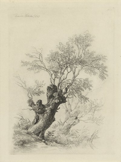 Willow Tree by Remigius Adrianus Haanen