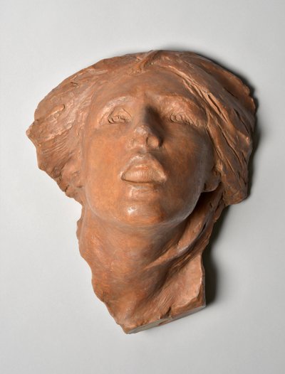 La destinee by René de Saint Marceaux