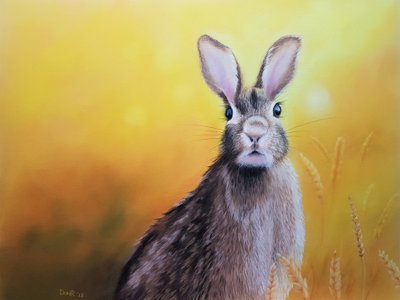 Little Hare by Renate Dohr