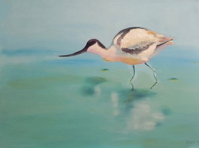 Avocet by Renate Dohr