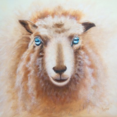 Sheep by Renate Dohr
