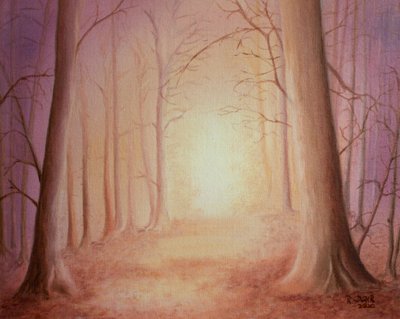 Path to Light by Renate Dohr