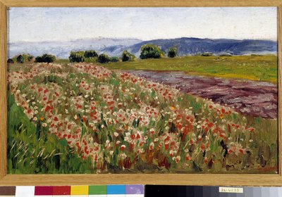The field of poppies by Rene Auguste Seyssaud
