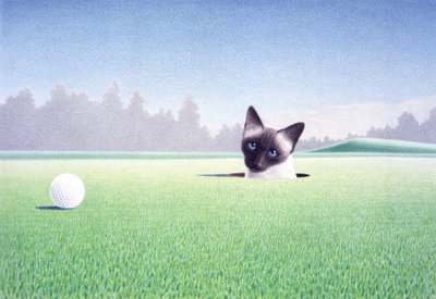 In The Hole by Rene Boin