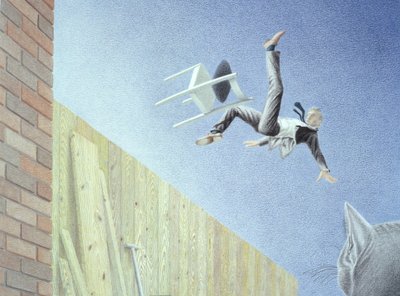 Over the Fence by Rene Boin