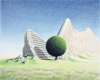 Rock by Rene Boin