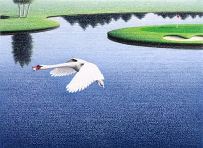 Swanlake by Rene Boin